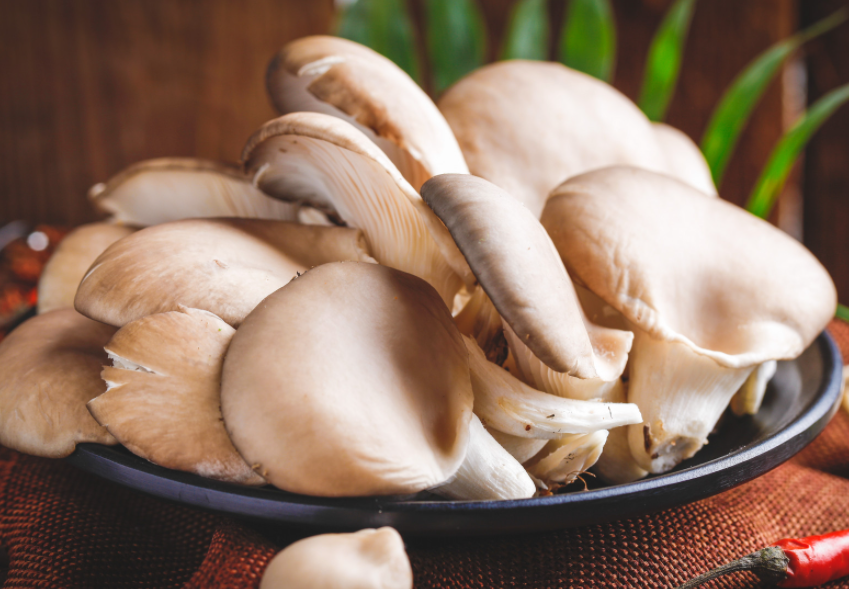 三月适合种什么菜