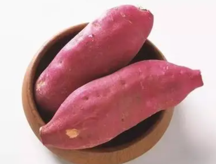 番薯什么时候种植最好