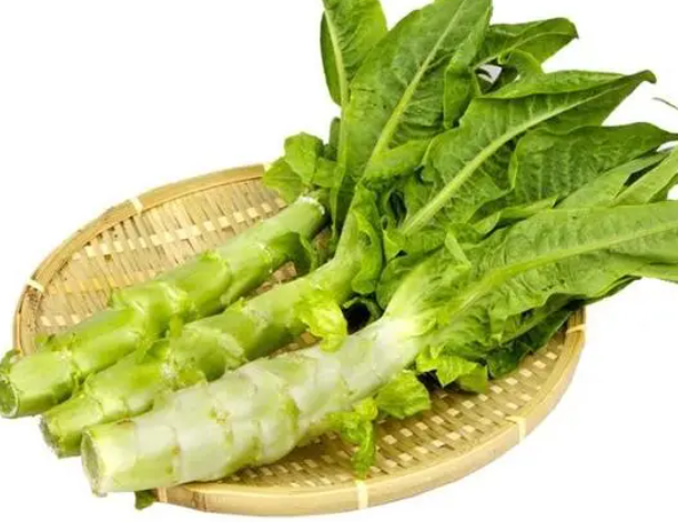 莴苣种植时间与生长周期如何