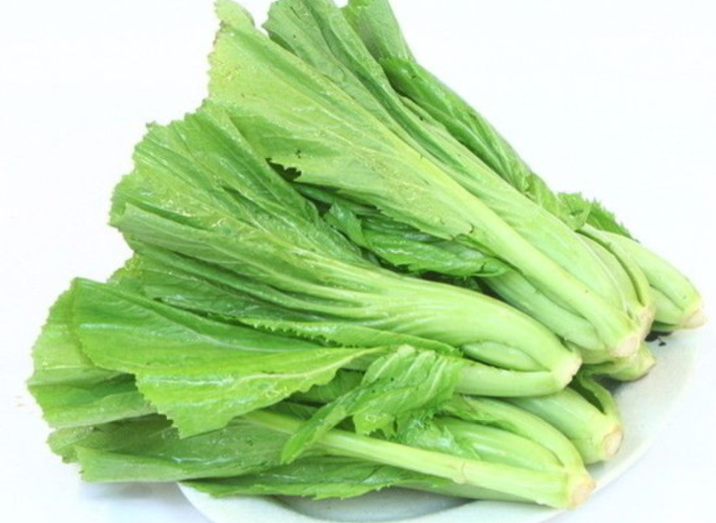 芥菜种植时间与生长周期如何