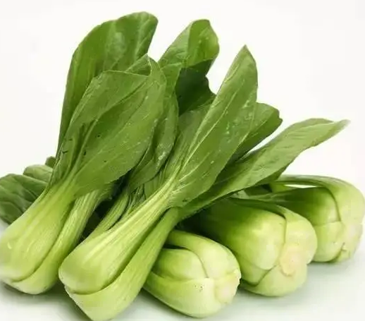 油菜籽种植时间与生长周期
