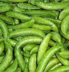 甜豆种植时间与生长周期