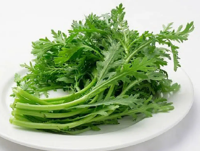 茼蒿种子多久发芽