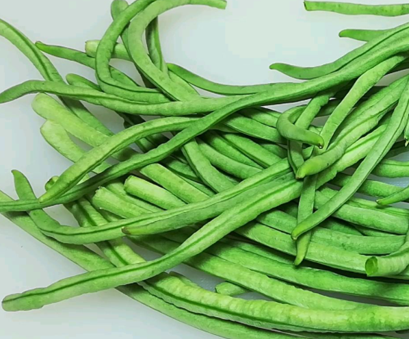 豇豆是自花授粉吗