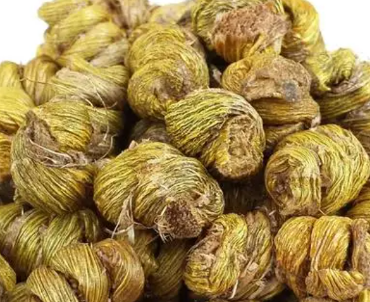 石斛用什么土栽培最好