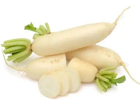 开春适合种什么菜