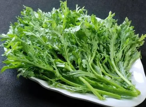 冬春适合种什么菜