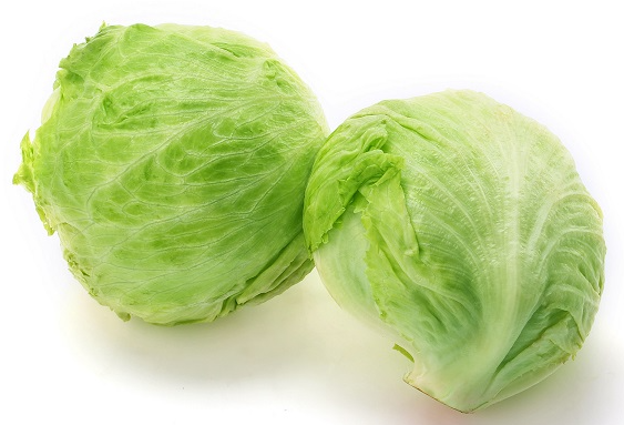元月适合种什么菜