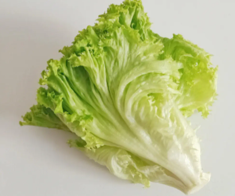 早春适合种什么菜