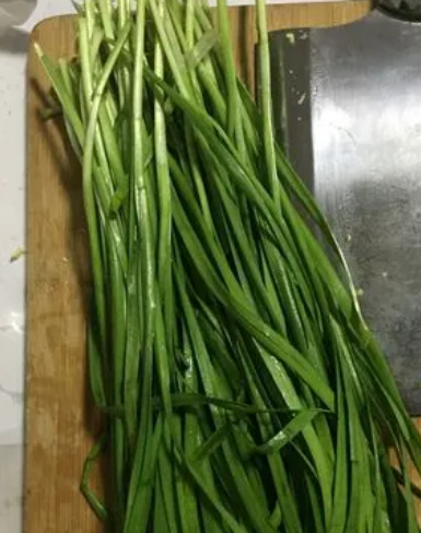 韭菜喜光吗