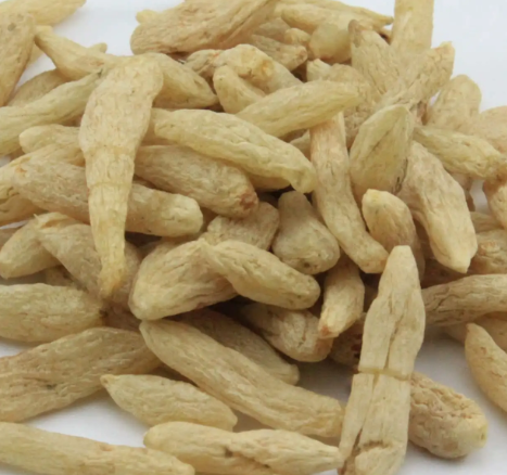 麦冬什么时候挖最好