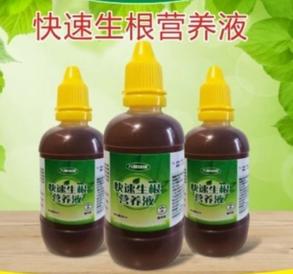 生根粉水可以浇花吗