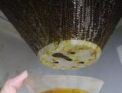 油烟机的油可以浇花吗