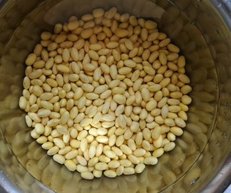 泡黄豆的水可以浇花吗