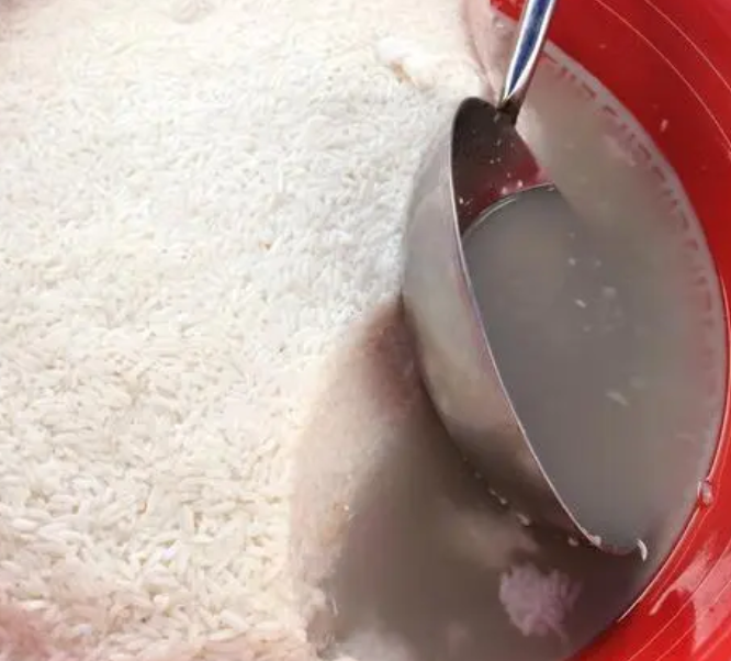 米酒可以浇花吗