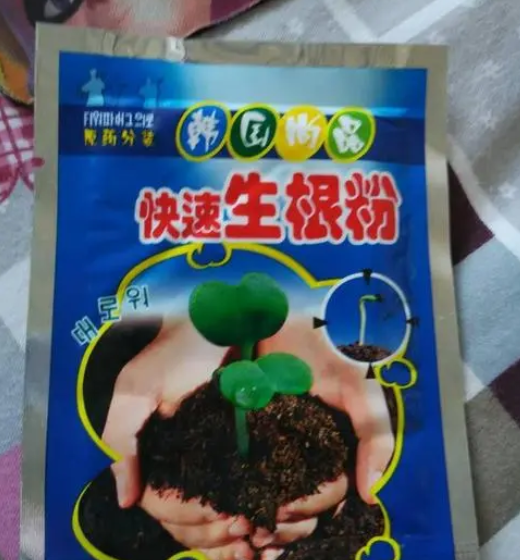 生根粉能浇花吗