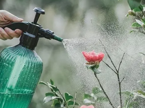 盐汽水可以浇花吗