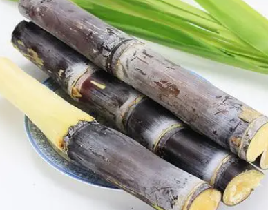 甘蔗是农作物吗