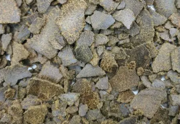 油渣可以做花肥吗