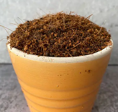 买来的花土可以直接种花吗
