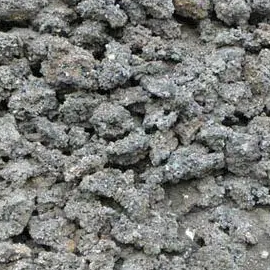 煤渣土适合养什么花