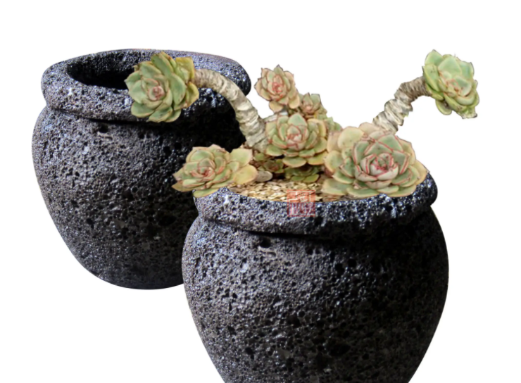 火山石花盆适合养什么花