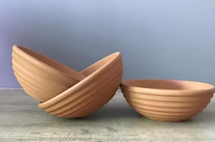 大口浅盆适合养什么花