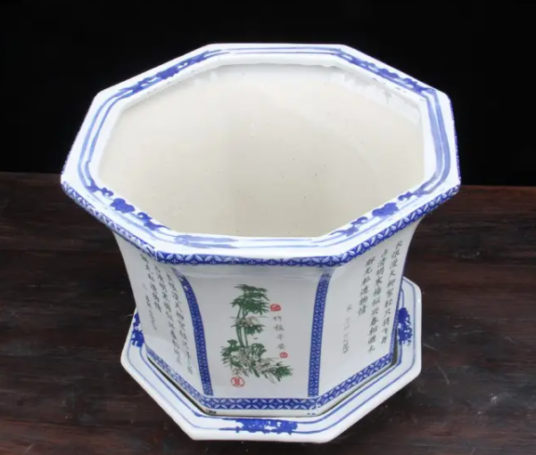 八角花盆适合养什么花