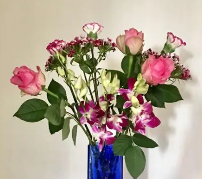 花瓶适合养什么花