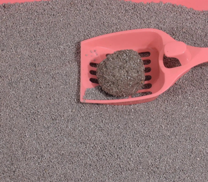 猫砂可以用来种花吗