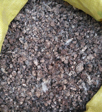鸡粪可以种花吗