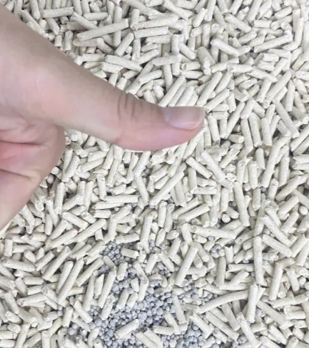 豆腐猫砂可以种花吗