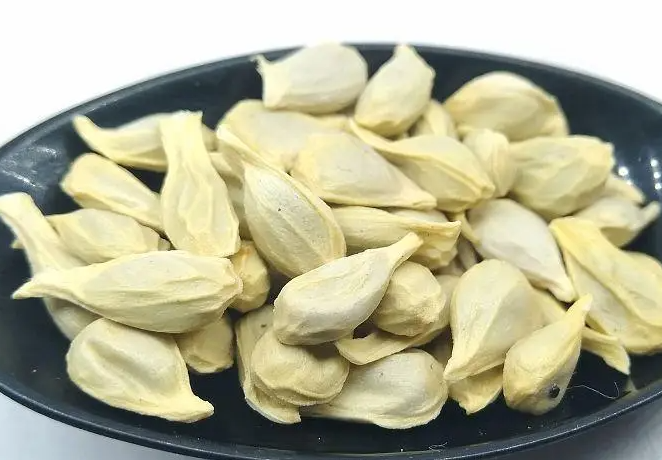 柠檬籽能种吗