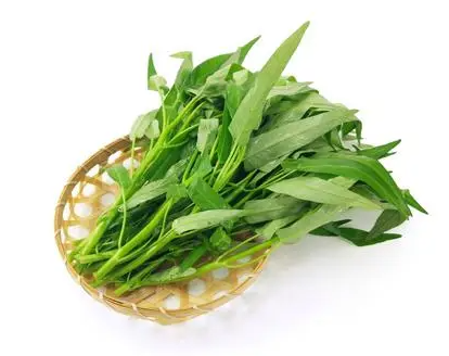 空心菜种子怎么催芽