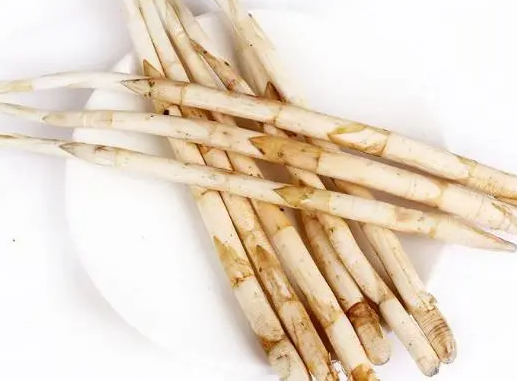 象牙菜生长在哪里
