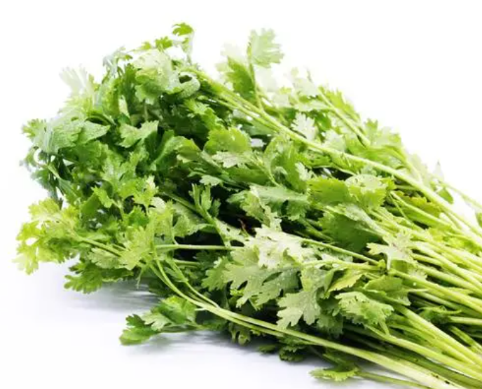 香菜浇什么肥料合适