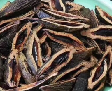 槟榔籽可以种吗