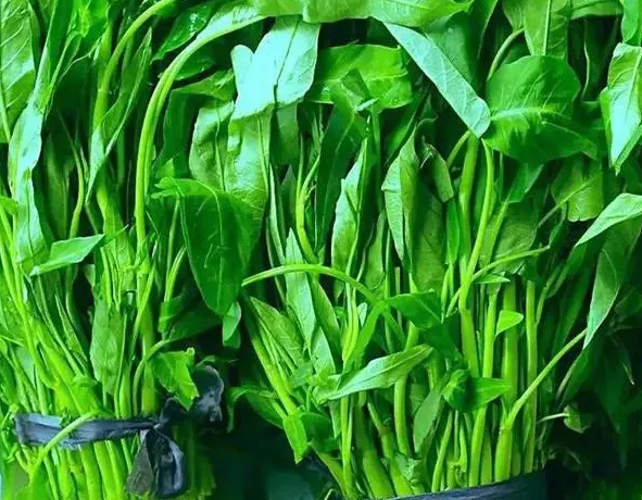 空心菜用什么肥料最好