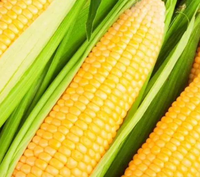 种玉米用什么肥料最好