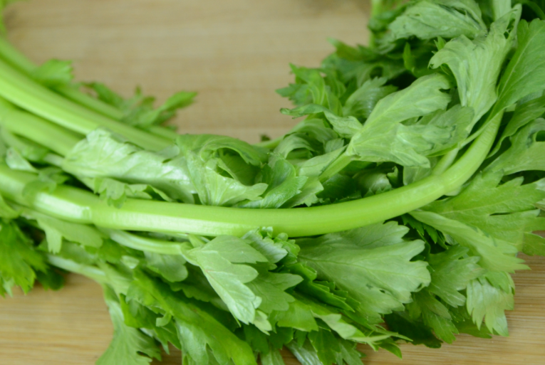 芹菜喜欢阳光吗