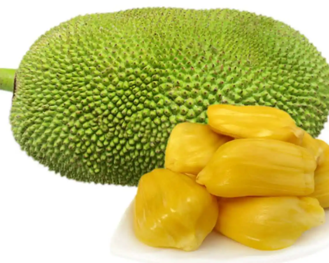 菠萝蜜生长温度是多少度