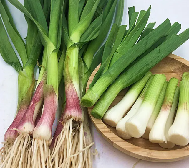 蒜苗喜欢阳光吗