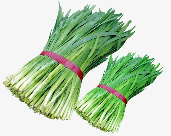 韭菜喜欢阳光吗