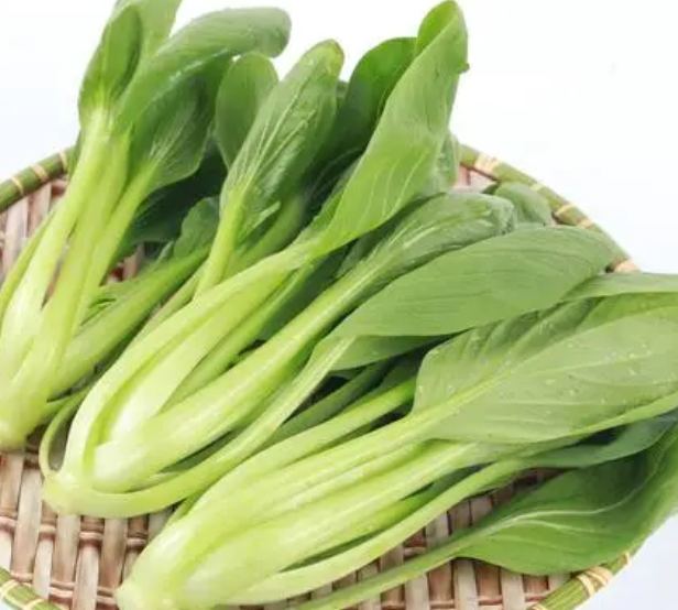 油菜几月份种合适