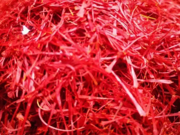 藏红花什么时候栽种合适 栽种时间和管理