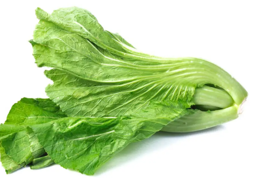 芥菜和梅菜是一种菜吗