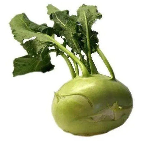 芥菜疙瘩和苤蓝是一种菜吗