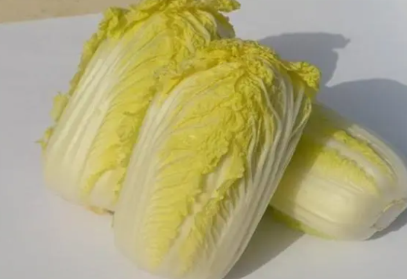 娃娃菜和白菜是一种菜吗