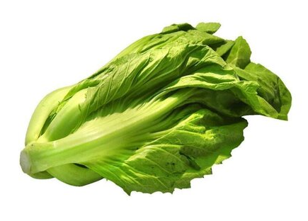 盖菜和快菜是一种菜吗