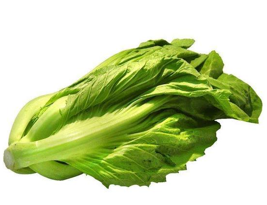 盖菜和芥芥菜是一种菜吗